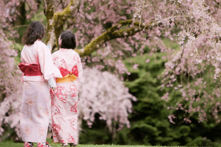 櫻花季日本市集和服體驗